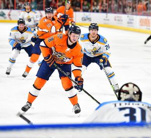 Image post by @swamprabbits on Instagram