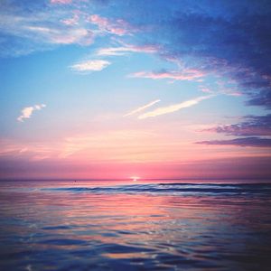 Image post by @trashhand on Instagram