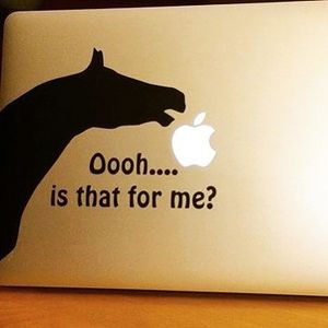 Image post by @snaffle_it on Instagram