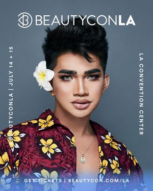 Image post by @bretmanrock on Instagram