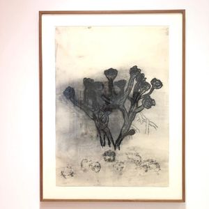 Image post by @drawingcenter on Instagram
