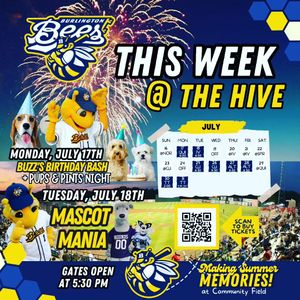 Image post by @burlington_bees on Instagram