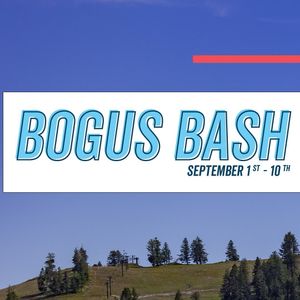 Image post by @bogusbasin on Instagram