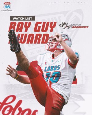 Image post by @UNMLoboFB on Twitter