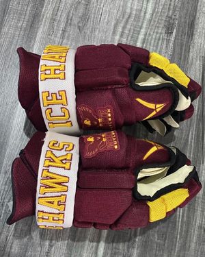 Image post by @verberohockey on Instagram
