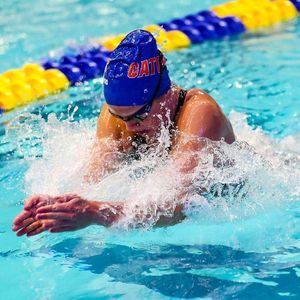 Image post by @arenausa on Instagram