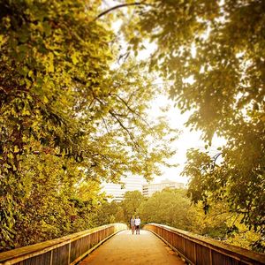 Image post by @roephoto on Instagram