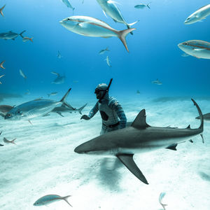 Image post by @animalplanet on Instagram