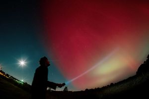 Image post by @blueamberphoto on Instagram