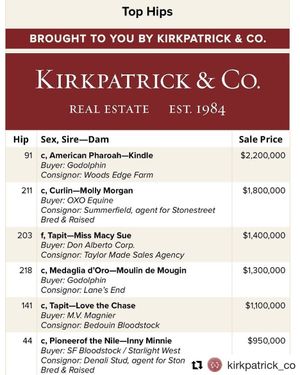 Image post by @thebloodhorse on Instagram