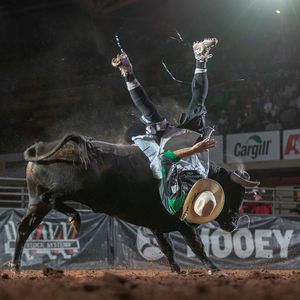 Image post by @bullfightersonly on Instagram