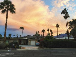 Image post by @willg.macneil on Instagram