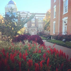 Image post by @williamjewellcollege on Instagram