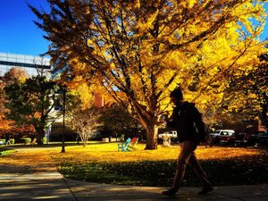 Image post by @michaelmreaves on Instagram