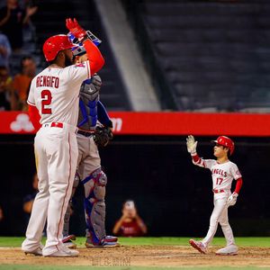 Image post by @mlb.mini on Instagram