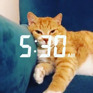Image post by @redtettemer on Instagram