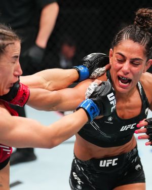 Image post by @ufc_brasil on Instagram