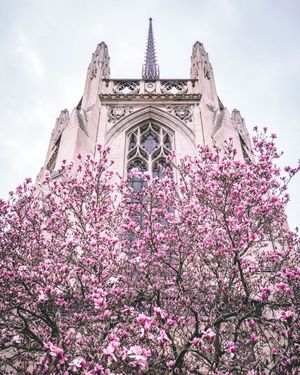 Image post by @themralex on Instagram