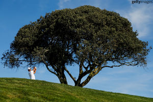 Image post by @michaelmreaves on Instagram