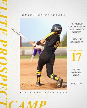 Image post by @gustiesoftball on Instagram