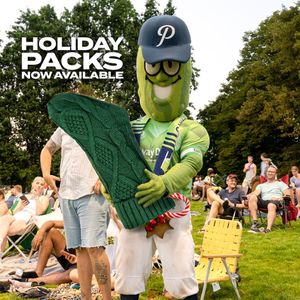 Image post by @picklesbaseball on Twitter