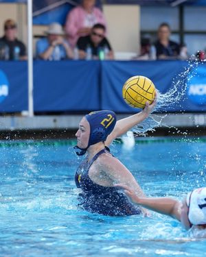 Image post by @calwwpolo on Instagram