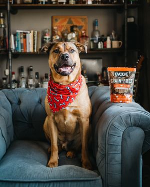Image post by @evolvepetfood on Instagram