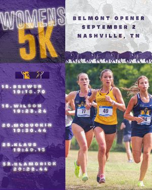 Image post by @LipscombXCTF on Twitter