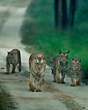 Image post by @discovery on Instagram