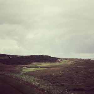 Image post by @dodomolinari on Instagram