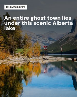Image post by @curiocitycalgary on Instagram