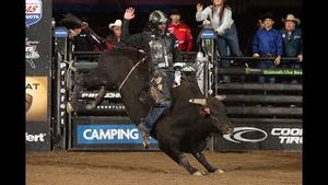 Video post by @pbr on YouTube