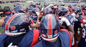 Image post by @mtlalouettes on Instagram