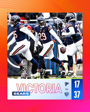 Image post by @bears_es on Instagram