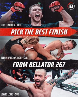 Image post by @bellatormma on Instagram