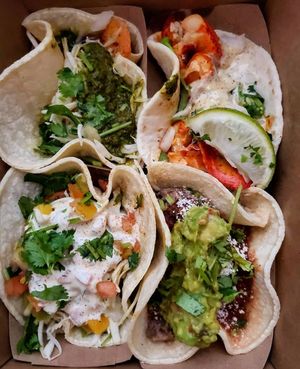 Image post by @xo_taco on Instagram