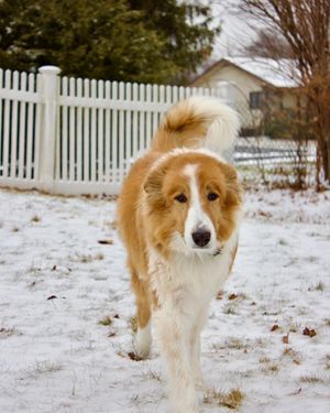 Image post by @adphotography_lab on Instagram