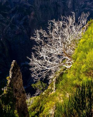 Image post by @cristan.nature.photography on Instagram
