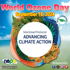 Image post by @jamaicaobserver on Instagram