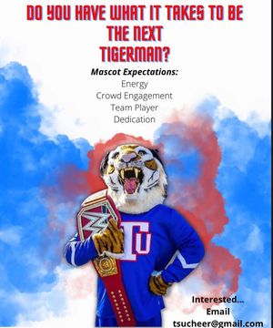 Image post by @tennstateu on Instagram