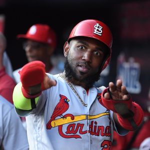 Image post by @stlcardenales on Instagram