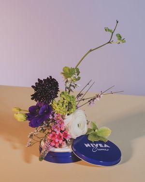 Image post by @niveausa on Instagram