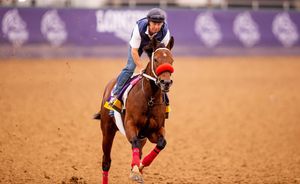 Image post by @breederscup on Instagram