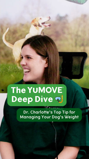 Video post by @YuMOVE.US on Facebook