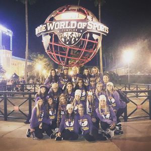 Image post by @lsutigergirls on Instagram