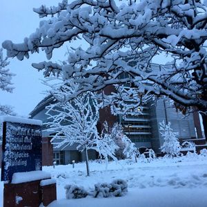 Image post by @nauflagstaff on Instagram