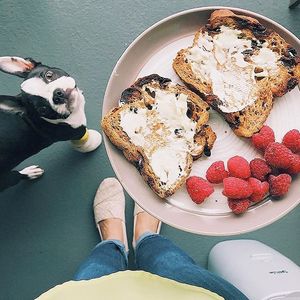 Image post by @franzbakery on Instagram