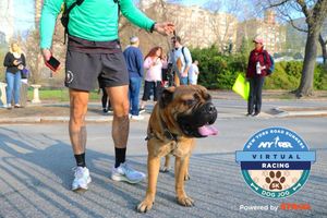 Image post by @nycmarathon on Instagram