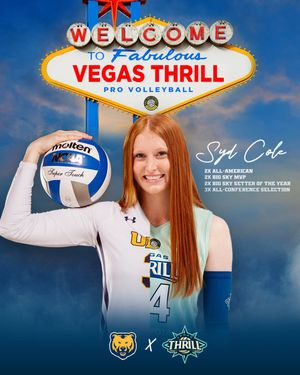 Image post by @jerb.creative on Instagram