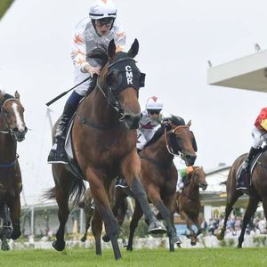 Image post by @australianturfclub on Instagram